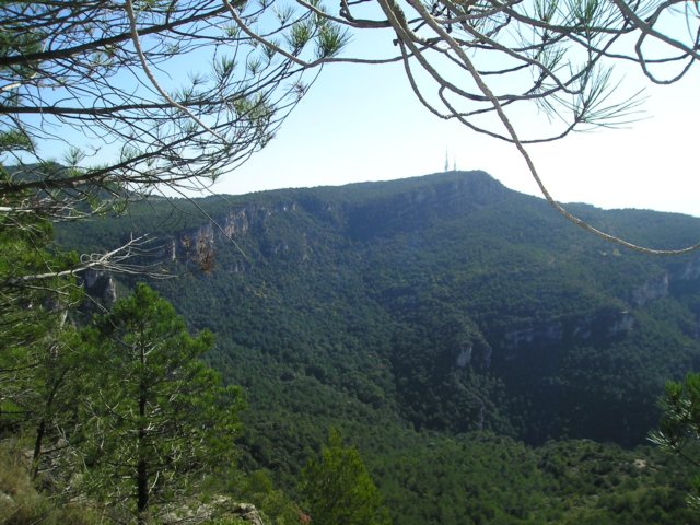 p1010027.jpg