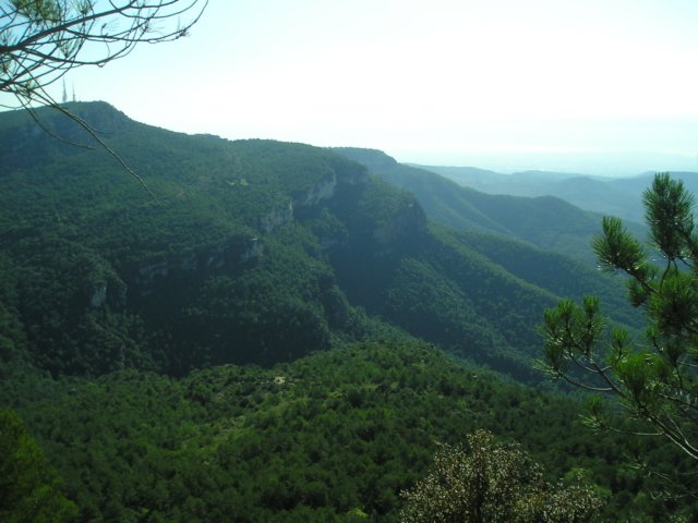 p1010029.jpg