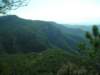 p1010029_small.jpg