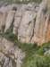 p1010142_small.jpg