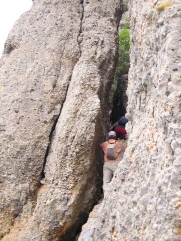 p1010146.jpg