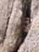 p1010148_small.jpg