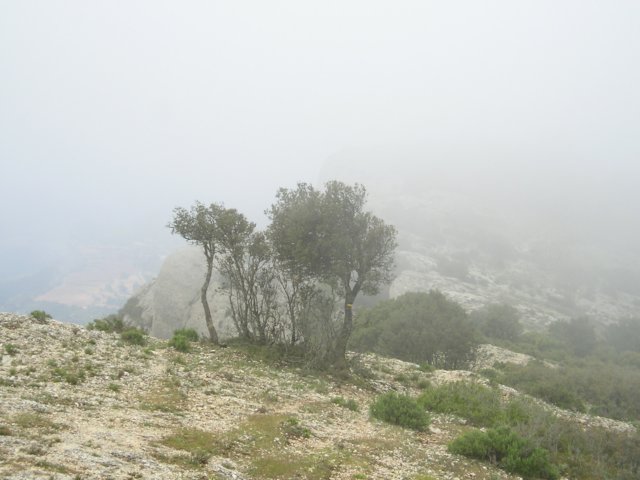 p1010151.jpg