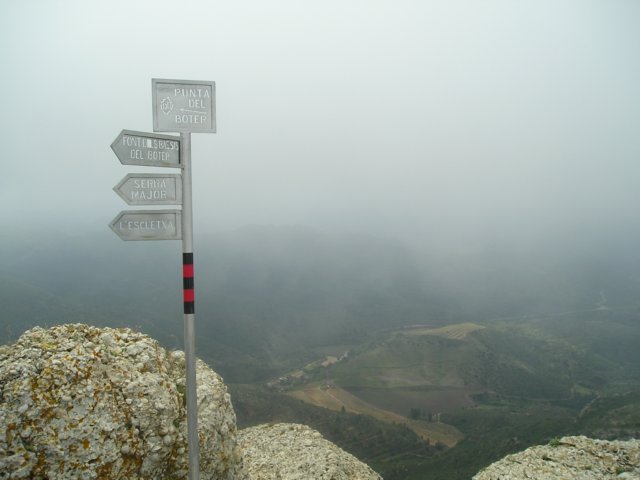 p1010154.jpg