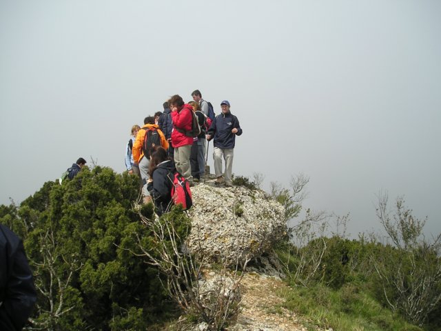 p1010161.jpg