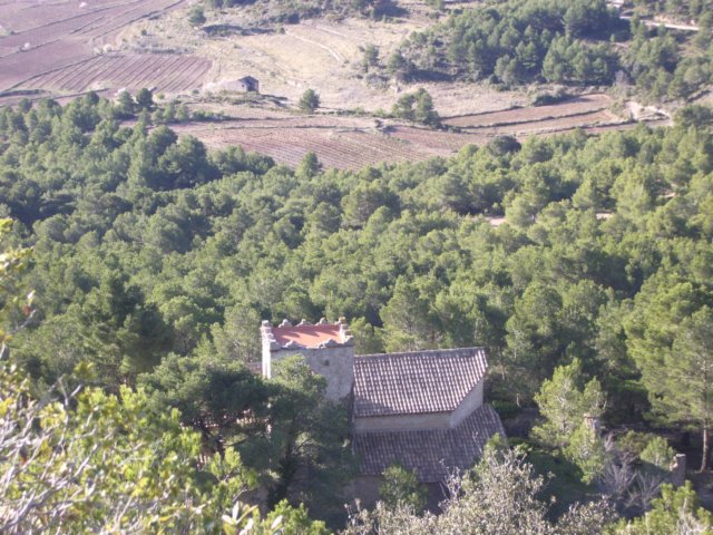 imgp4213.jpg