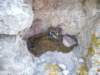 imgp4245_small.jpg