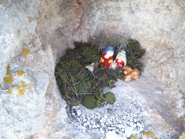 imgp4246.jpg