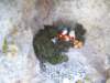 imgp4246_small.jpg