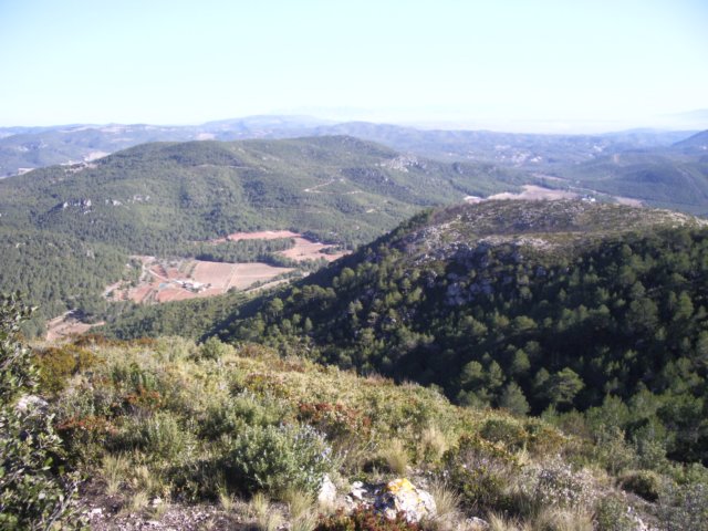 imgp4266.jpg