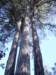 imgp4283_small.jpg