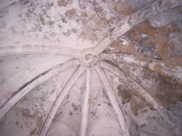 imgp4294.jpg