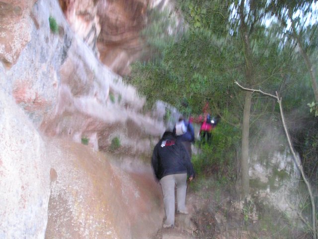 p1010013.jpg
