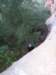 p1010015_small.jpg