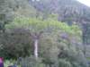 p1010023_small.jpg