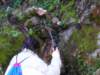 p1010029_small.jpg