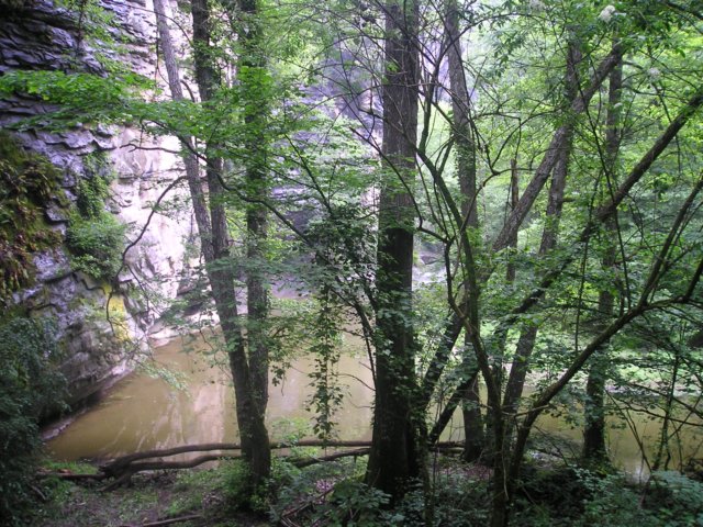 p1010187.jpg