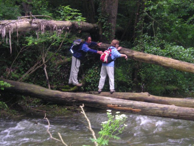 p1010196.jpg