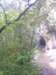 p1010200_small.jpg