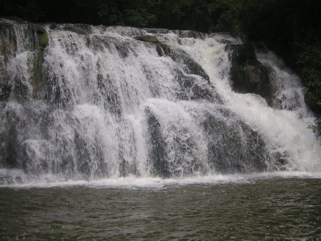 p1010204.jpg