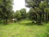 p1010206_small.jpg