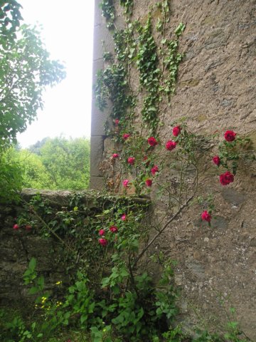 p1010210.jpg