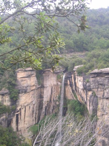 p1010215.jpg