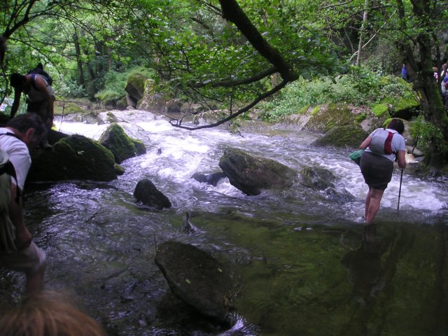 p1010217.jpg