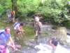 p1010219_small.jpg