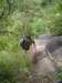 p1010220_small.jpg