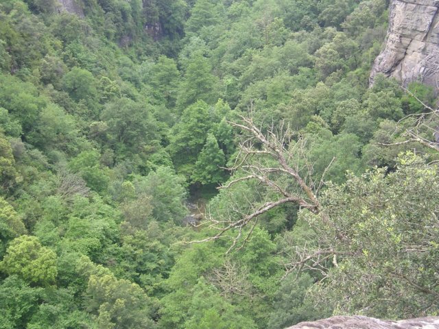p1010222.jpg
