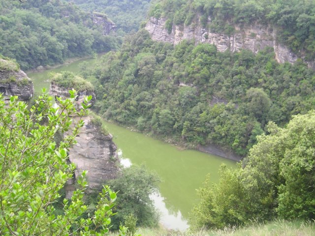 p1010225.jpg