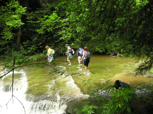 p1010227.jpg
