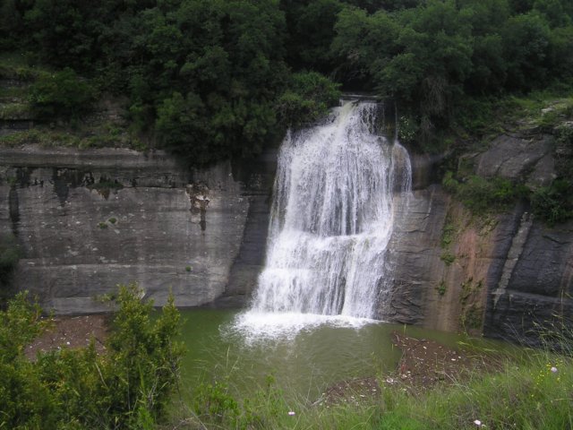 p1010230.jpg