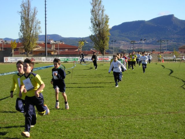p1010059.jpg