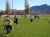 p1010059_small.jpg