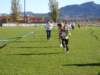 p1010061_small.jpg