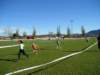 p1010066_small.jpg