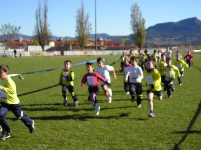 p1010070.jpg