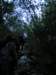 p1010008_small.jpg