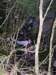 p1010009_small.jpg