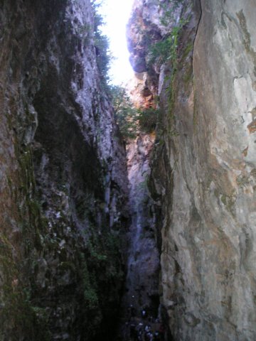 p1010033.jpg