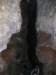 p1010034_small.jpg