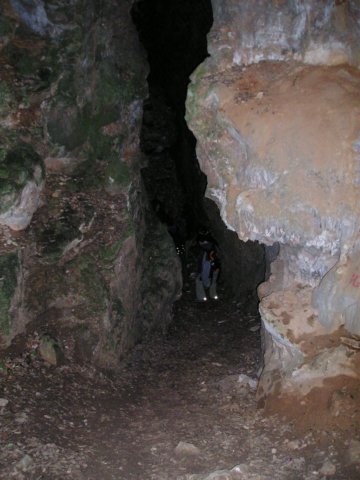 p1010035.jpg