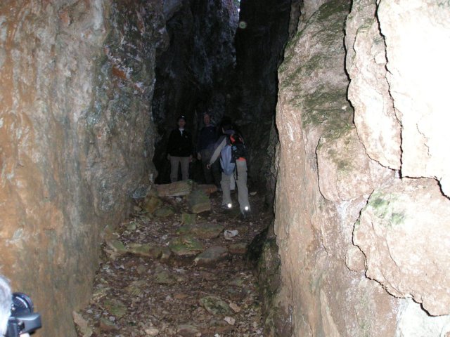 p1010036.jpg