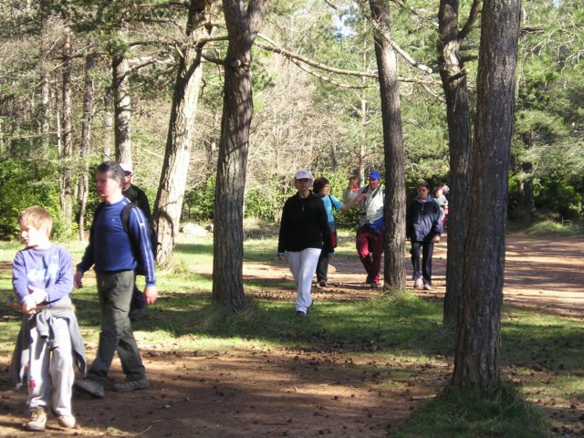 p1010048.jpg
