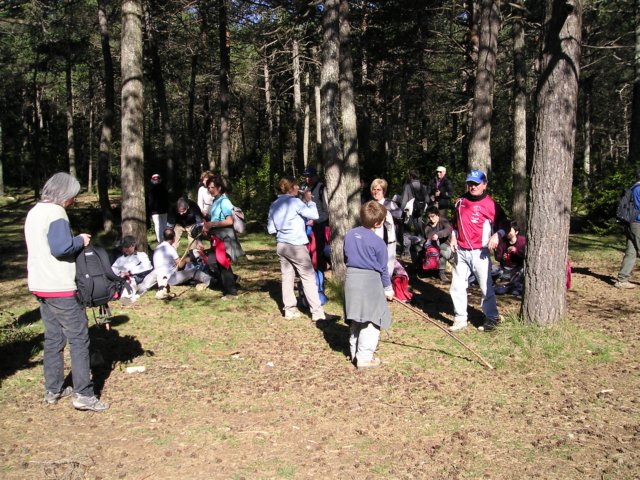 p1010050.jpg