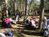 p1010051_small.jpg