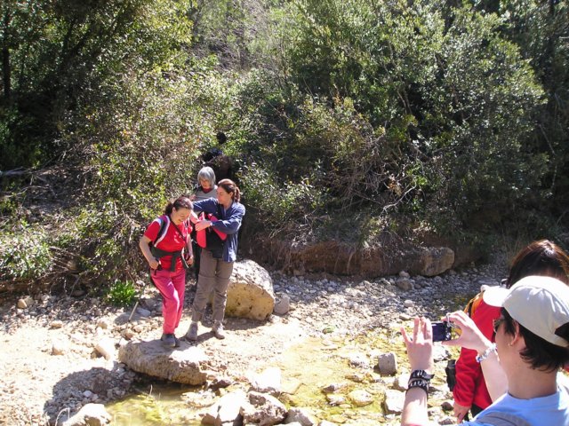 p1010071.jpg