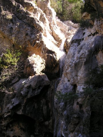 p1010078.jpg